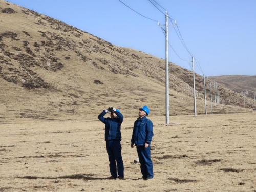 工作人员对供电设施展开巡查。国网甘肃省电力公司供图